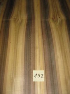Feuertulpe   selten  2,85m lang   Design Holz  extra192