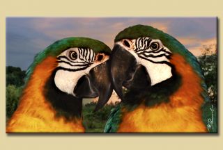 Papageien Vögel Tiere Bild Leinwand Wandbilder Papagei
