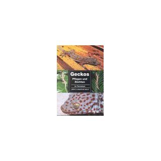 Geckos pflegen und züchten im Terrarium Jerry G. Walls