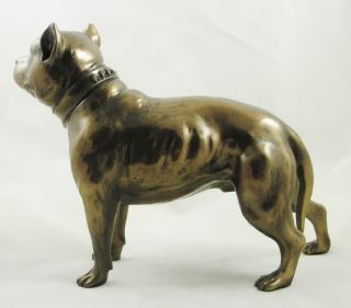 MALE PIT BULL TERRIER FIGURINE Bronze Statue DOG ORNAMENT   Free Post