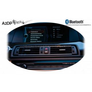 FISCON Bluetooth FSE PRO BMW Business Professional Navi Pro CIC
