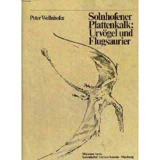 Solnhofener Plattenkalk  Urvögel und Flugsaurier Peter