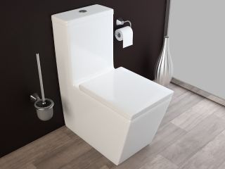 STAND WC + SOFT CLOSE DECKEL + SPÜLKASTEN / KB389