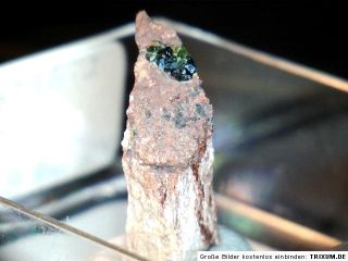 Katanga, Kongo +++ Super +++ Mineralien Stufe libethenite 375