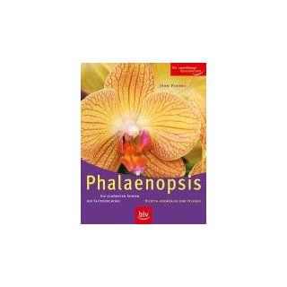 Phalaenopsis. Die schönsten Sorten   Richtig auswählen und pflegen