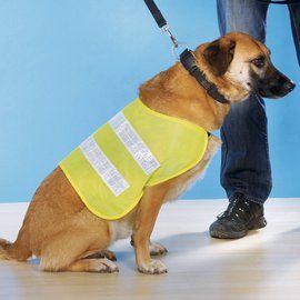 Hunde Warnweste Sicherheitsweste Signalweste Hund, reflektierend S, M