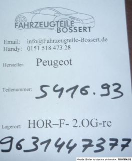 Peugeot Radkappe 406 14 Zoll für Stahlfelgen Felge 9631447377 541693