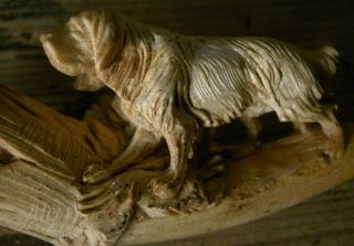 antiker Meerschaum Pfeifenkopf in Etui Motiv Hund