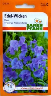 Edel Wicken   Blau   Duftende & üppig blühende Kletterpflanze