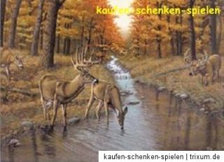 Malen nach Zahlen Hirsch Hirsche im Wald Tiermotiv