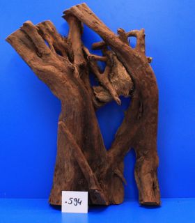 Traumwurzel #594 XL Mangroven Wurzel 34x45x14 cm Unikat für ein Natur