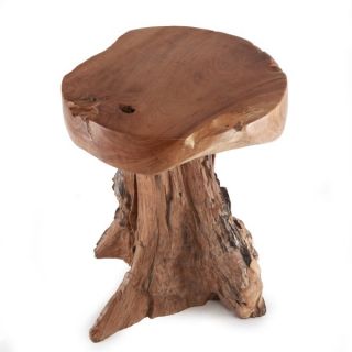 Teak Holz Hocker Beistelltisch Couch Tisch Wohnen Wurzelfuß natur