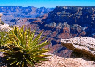 3D Postkarte Grand Canyon National Park, USA