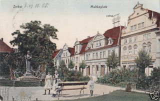AK Zerbst 1905 Moltkeplatz, Kinder, Denkmal, color