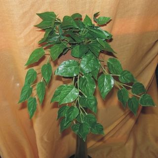 Kunstpflanze Scindapsis, ca. 25 cm, grün