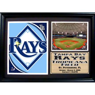 Rays Sports Memorabilia Buy Baseball, TV & Movie