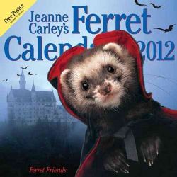 Jeanne Carley`s Ferret Friends 2012 Calendar (Calendar)