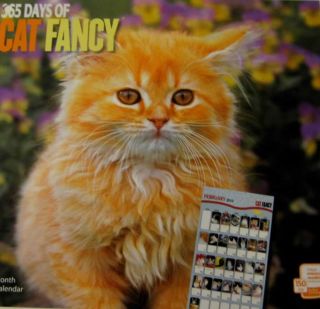 365 Days of Cat Fancy¿ 2010 Calendar
