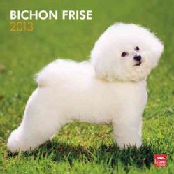 Bichon Frise 2013 Calendar (Calendar)
