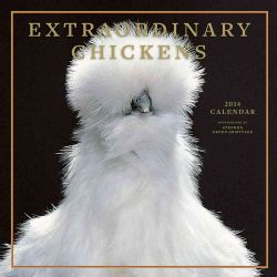 Extraordinary Chickens 2014 Calendar (Calendar) Today $11.08