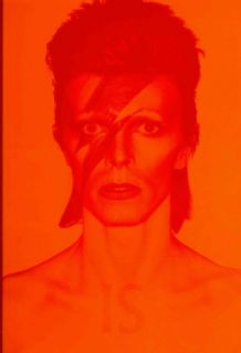 David Bowie Is (Hardcover) Today $31.70 5.0 (1 reviews)