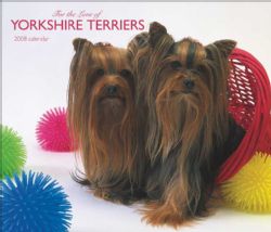 For the Love of Yorkshire Terriers 2008 Calendar
