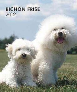 Bichon Frise 2012 Weekly Calendar (Calendar)