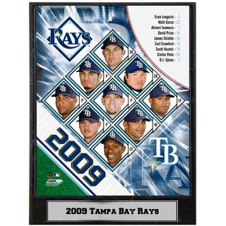 2009 Tampa Bay Rays 9x12 inch Photo Plaque