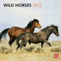 Wild Horses 2013 Calendar (Calendar)