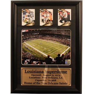 2009 New Orleans Saints 12x18 inch Deluxe Photograph Frame Today $54