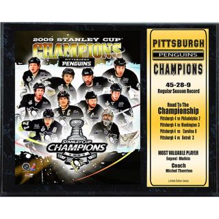 2009 Pittsburgh Penguins 12x15 Championship Plaque