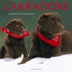 Labradors 2012 Calendar (Calendar)