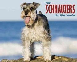 Schnauzers 2012 Calendar (Calendar)