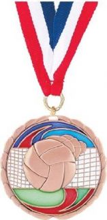 Volleyball Medals   2 1/2 inches Multi Colored Enameled