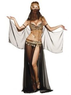 Sexy Belly Dancer Bra Top And Skirt Costume   LARGE