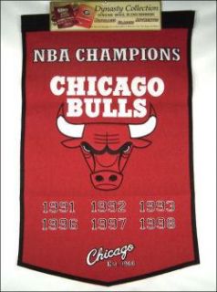 Chicago Bulls NBA National Championship Banner