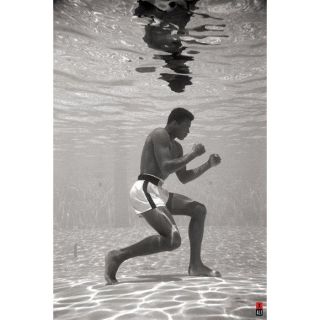 Muhammed Ali, (Dimension  Maxi 61 x 91.5cm)… Voir la présentation