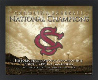 South Carolina Gamecocks 2010 National Champions Baseball