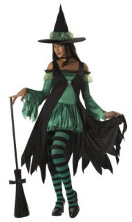 California Costumes Womens Emerald Witch Costume,Black