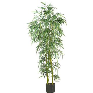 Slim 6 foot Bamboo Tree Today $137.69 4.0 (3 reviews)