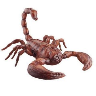 Remote Control Scorpion