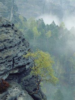 Sandstone Outcroppings, Sachsische Schweiz National Park