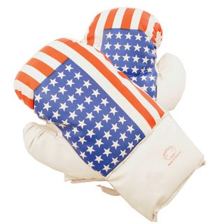Defender USA 12 ounce Boxing Gloves