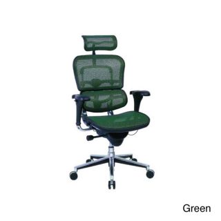 Integrity Seating Ergonomic Mesh Executive Office Chair