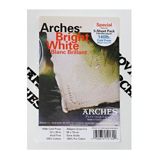 Arches 22 inch x 30 inch Cold Press Watercolor Paper (5 Sheets