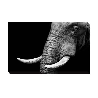 elephant oversized gallery wrapped canvas today $ 135 99