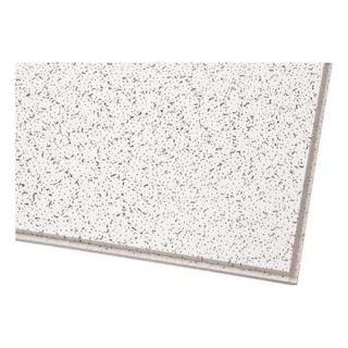 Armstrong 703 Ceiling Tile, 24 x 48 In, 5/8 In T, PK10