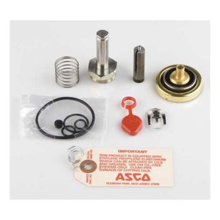 Asco 310420 HW Rebuild Kit