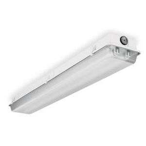 Lithonia DMW 2 48HO 120 CW20 WWGR Fixture, Dust/Vapor, 60w