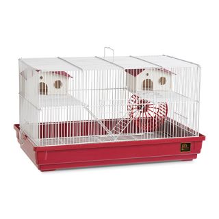 Small Animal Supplies Buy Cages, Food & Treats